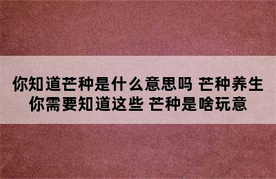 你知道芒种是什么意思吗 芒种养生你需要知道这些 芒种是啥玩意